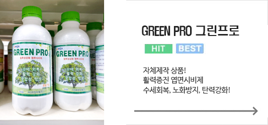 메인 중앙배너3