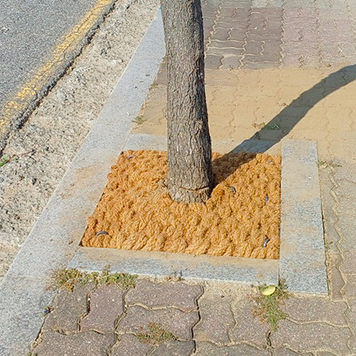 ǰ 
