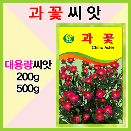 꽃씨 과꽃 대용량 100g/500g