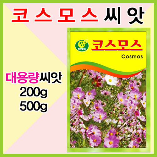 꽃씨 코스모스 대용량 100g/500g