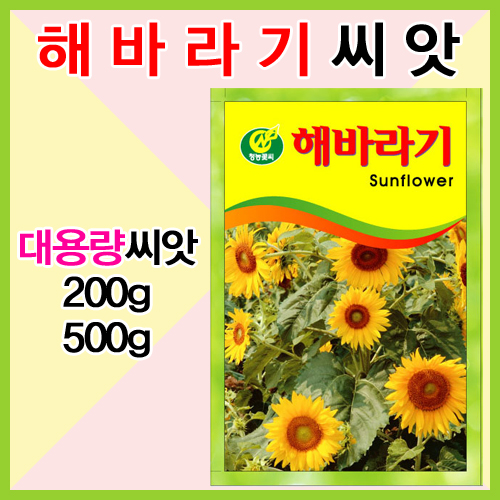 꽃씨 해바라기 대용량 100g/300g